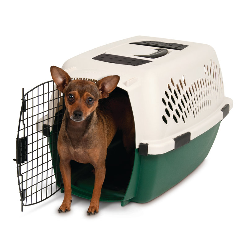 Ruff Maxx Plastic Dog Pet Carrier & Reviews Wayfair